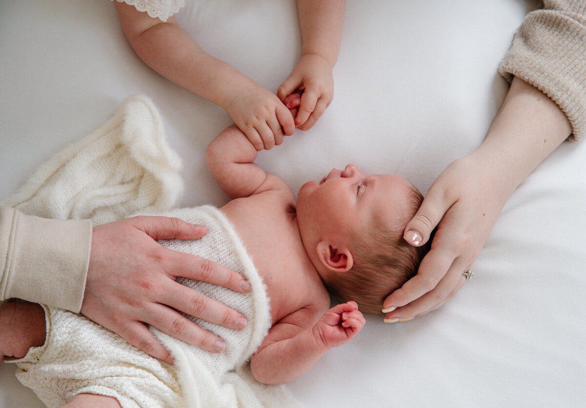 Newborn Photographer 