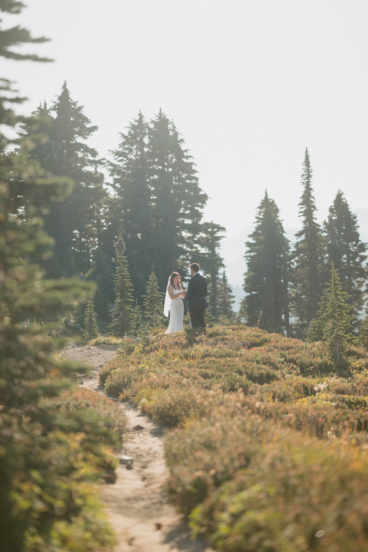 Couple exchanged their vows in the mountain