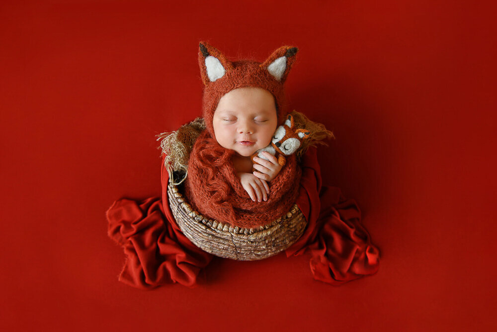 Newborn baby boy wrapped in a bucket holding a fox, wearing a fox hat for his newborn photography session in Hamilton, Ontario.