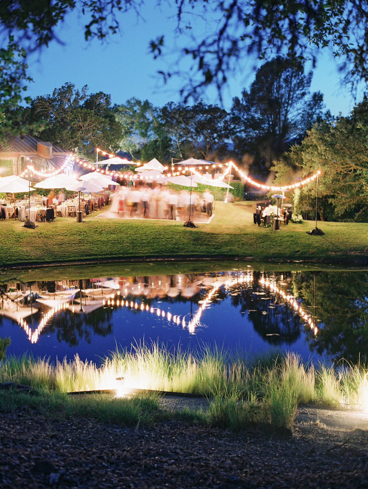 napa-sonoma-bay-area-wedding-photographers-the-tenneys-at-private-estate-wedding-50