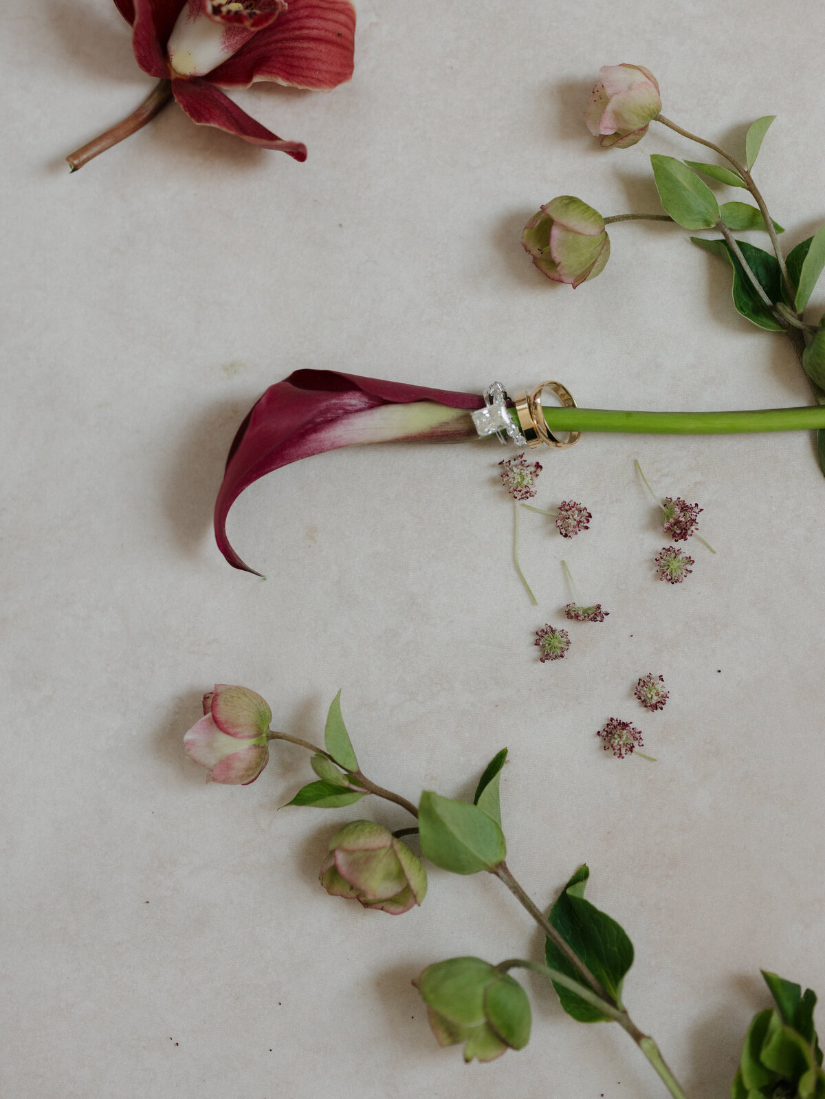 250524JORTAY_adv0004