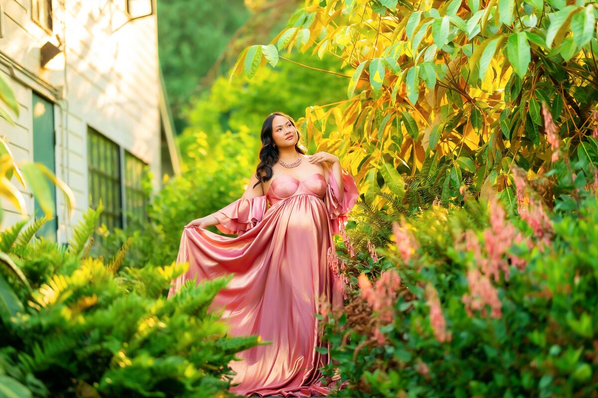 Chicago maternity client closet