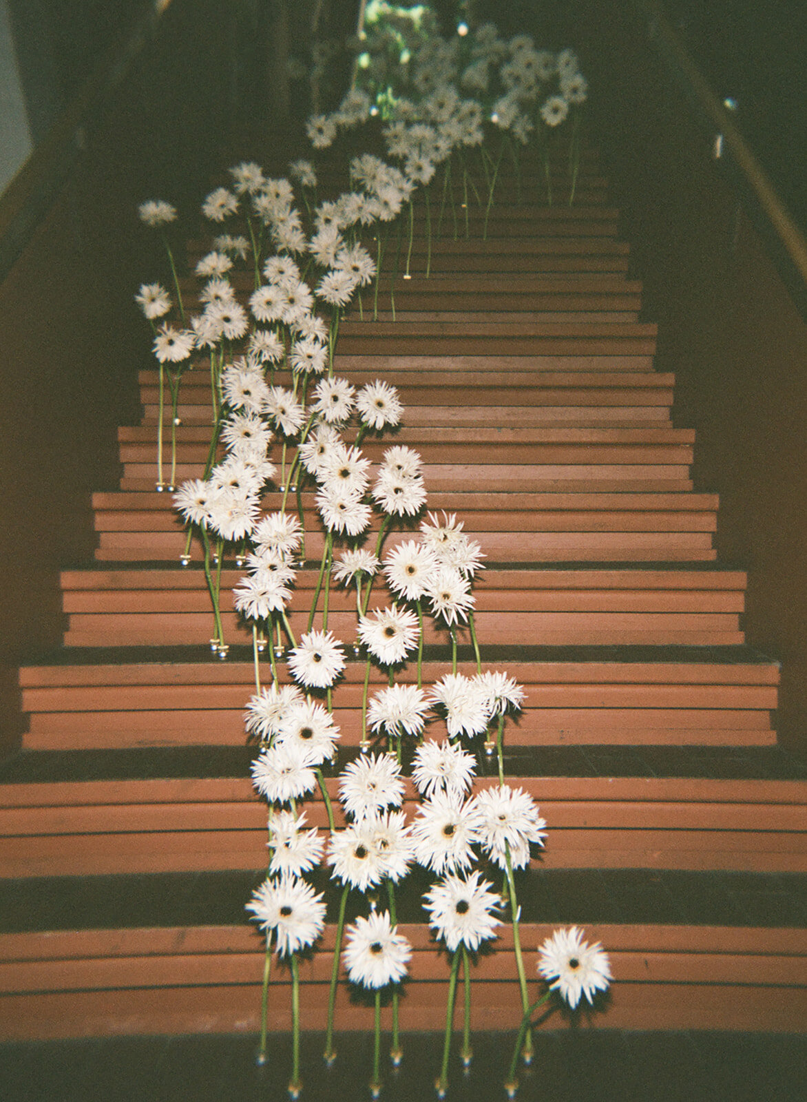 film-7