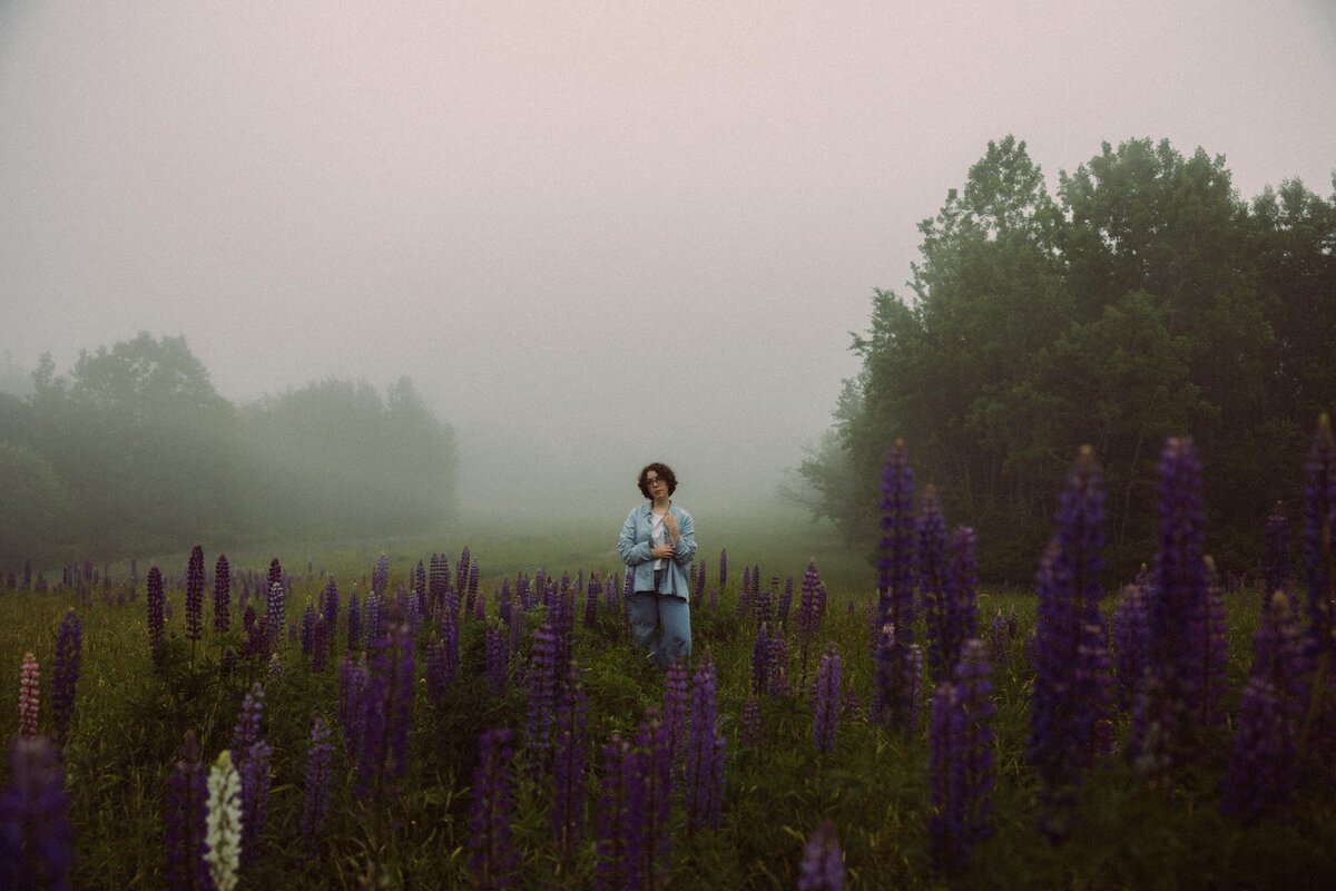 Viewing Lupines in Maine