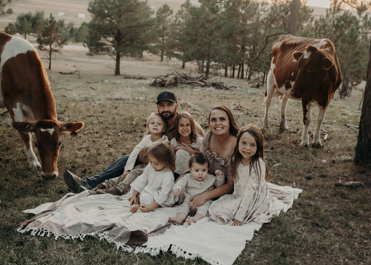A family of seven poses on a blanket in the field of their family farm with cows grazing in the background during a golden our family session in the outskirts of Denver, Colorado.
