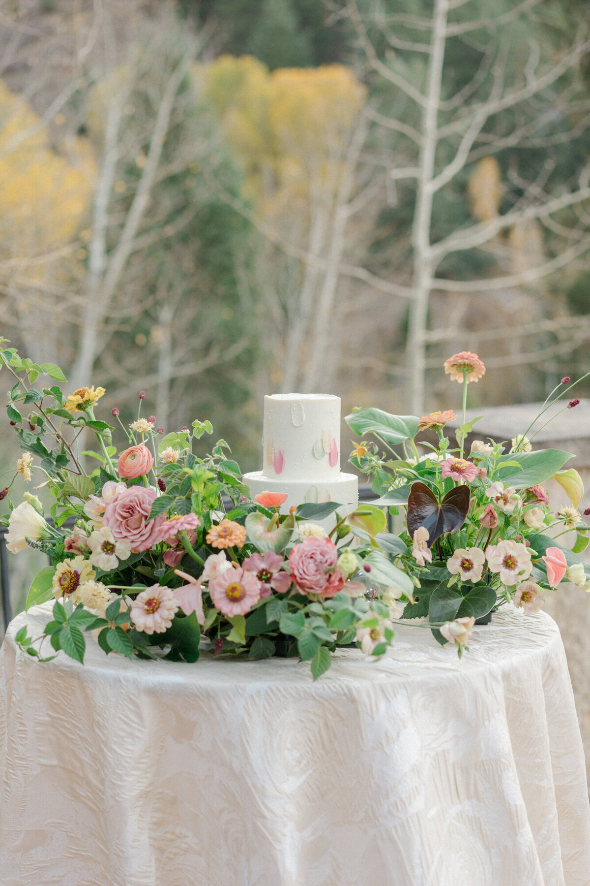 Beaver_Creek_Intimate_Wedding_MaryAnnCraddockPhotography_0118