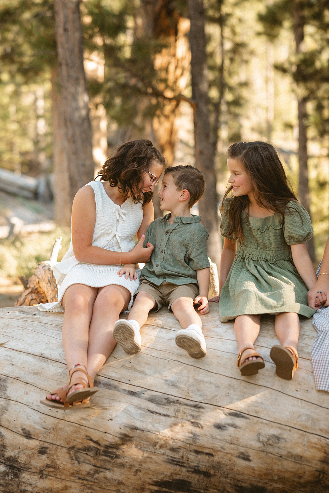 MurrayFamPicnic-MyrnaLoyPhoto-6