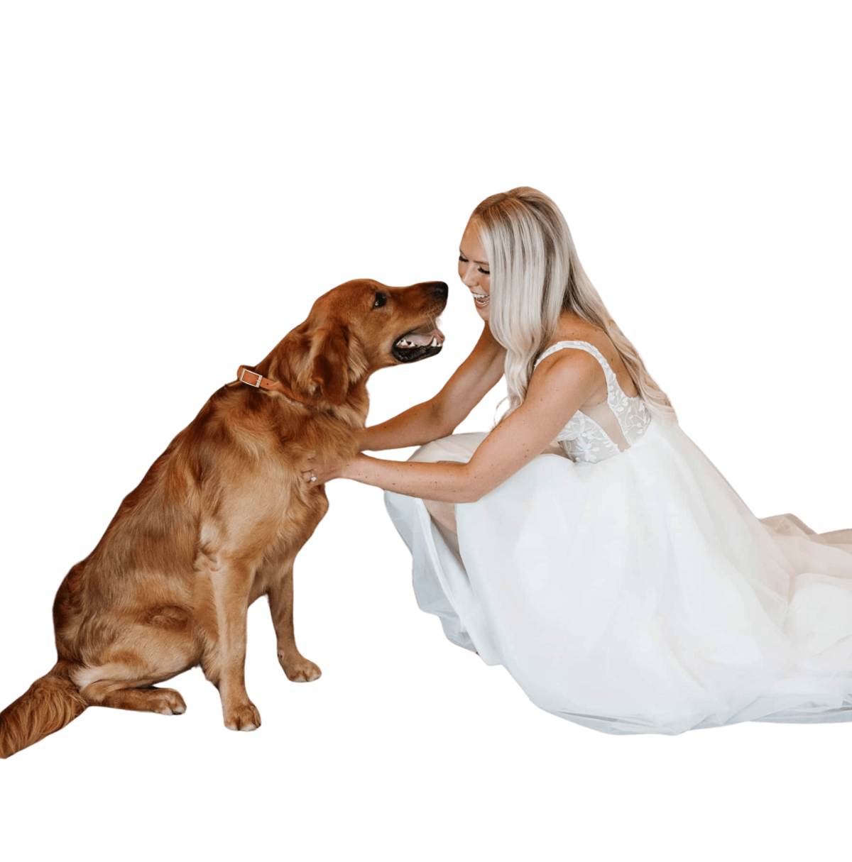 Minneapolis wedding photographer and videographer