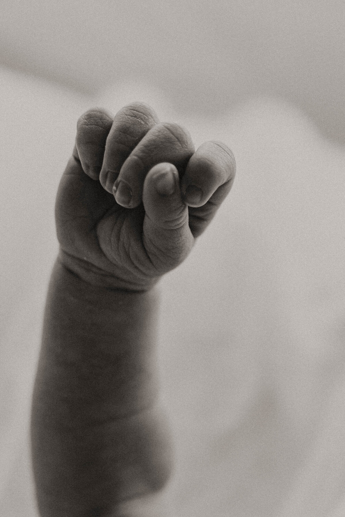 MILLIE_NEWBORN-2402-2