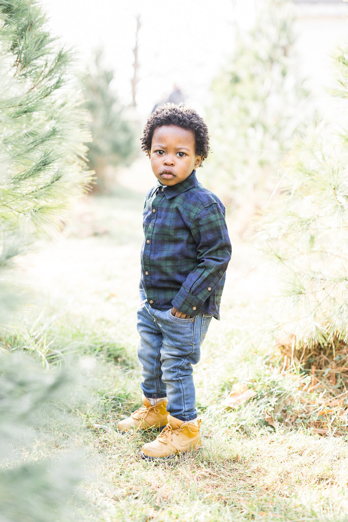 christmas-tree-farm-photography-virginia-maryland-19-2
