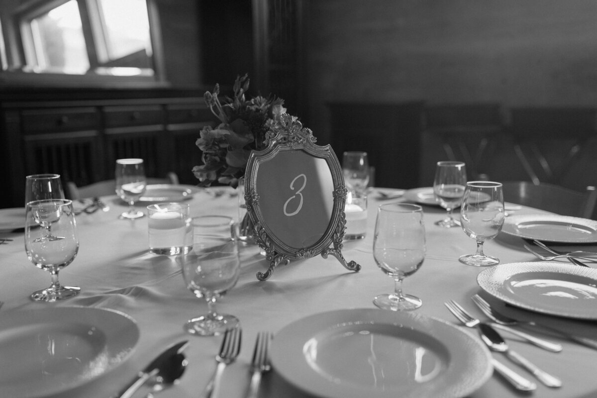 Powell-Gardens-Wedding-553