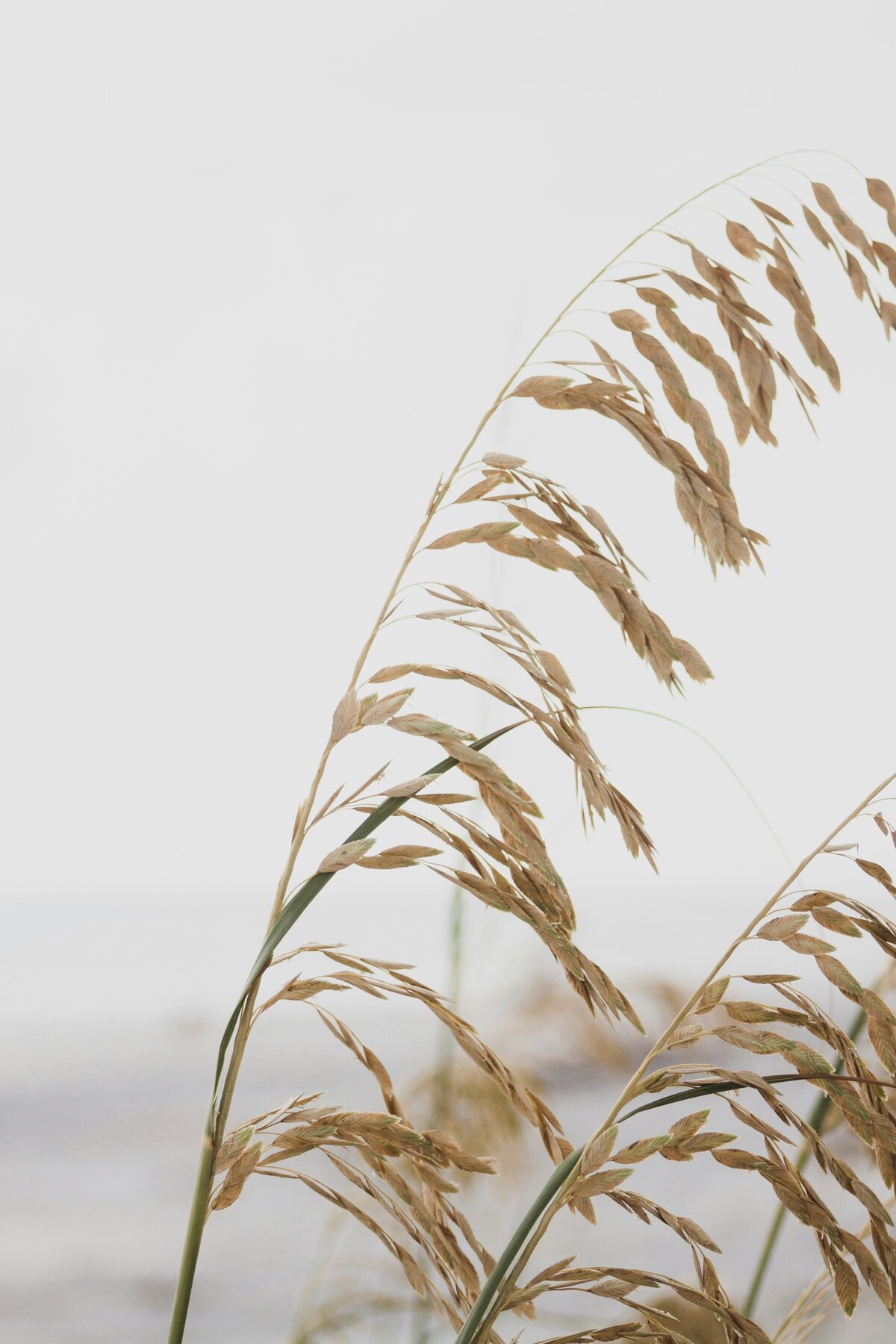 zeke-tucker-S6TtTBn-vVA-unsplash