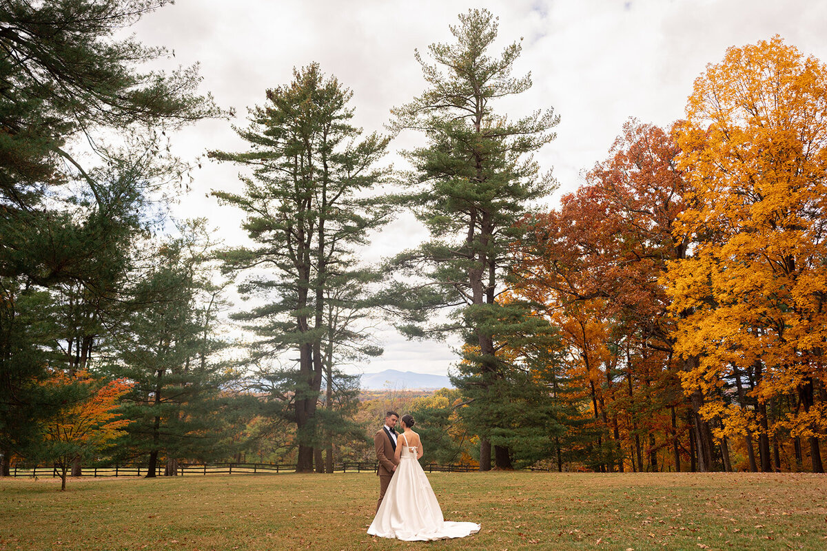 4-private-vows-under-pines-upstate-new-york-wedding