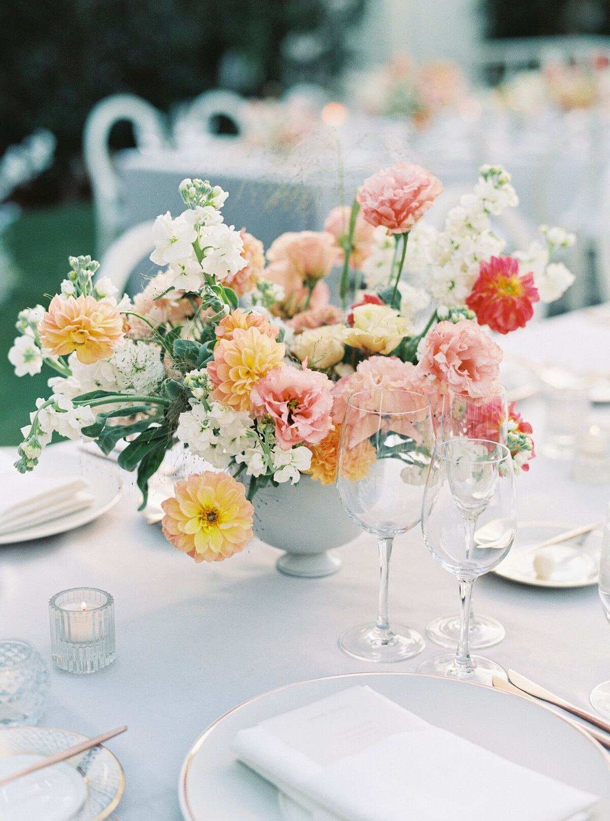 highlights_029