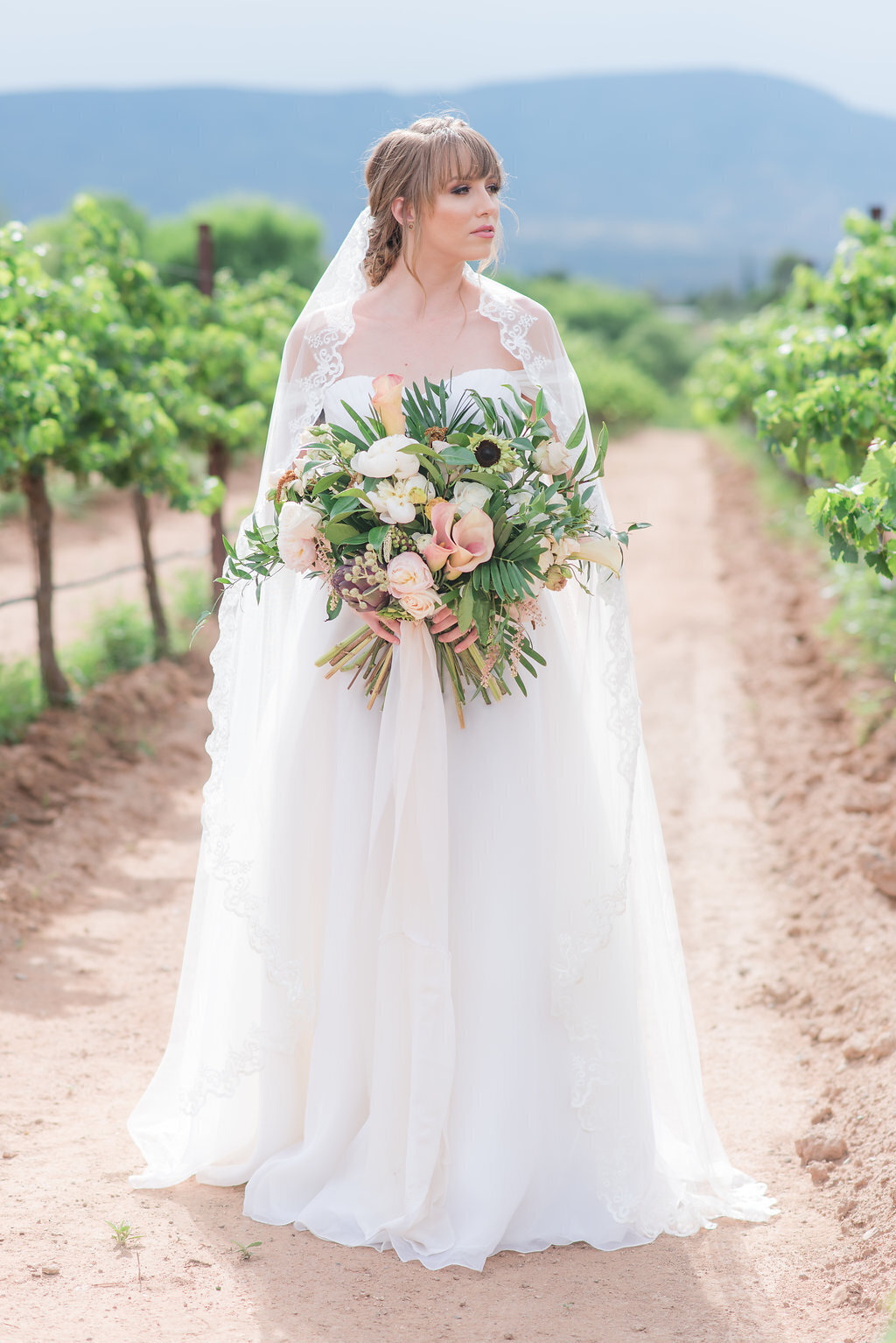 Alcantara Southwestern Weddings Bride JadeMinPhotography-6759