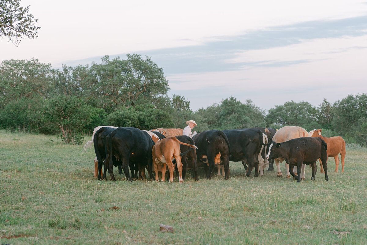 Luxury_Wedding_Photographer_Texas_Erin_Marcin_Photography_Film-107