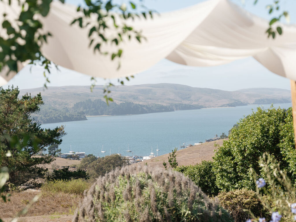 Trinity-Will-Previews-10