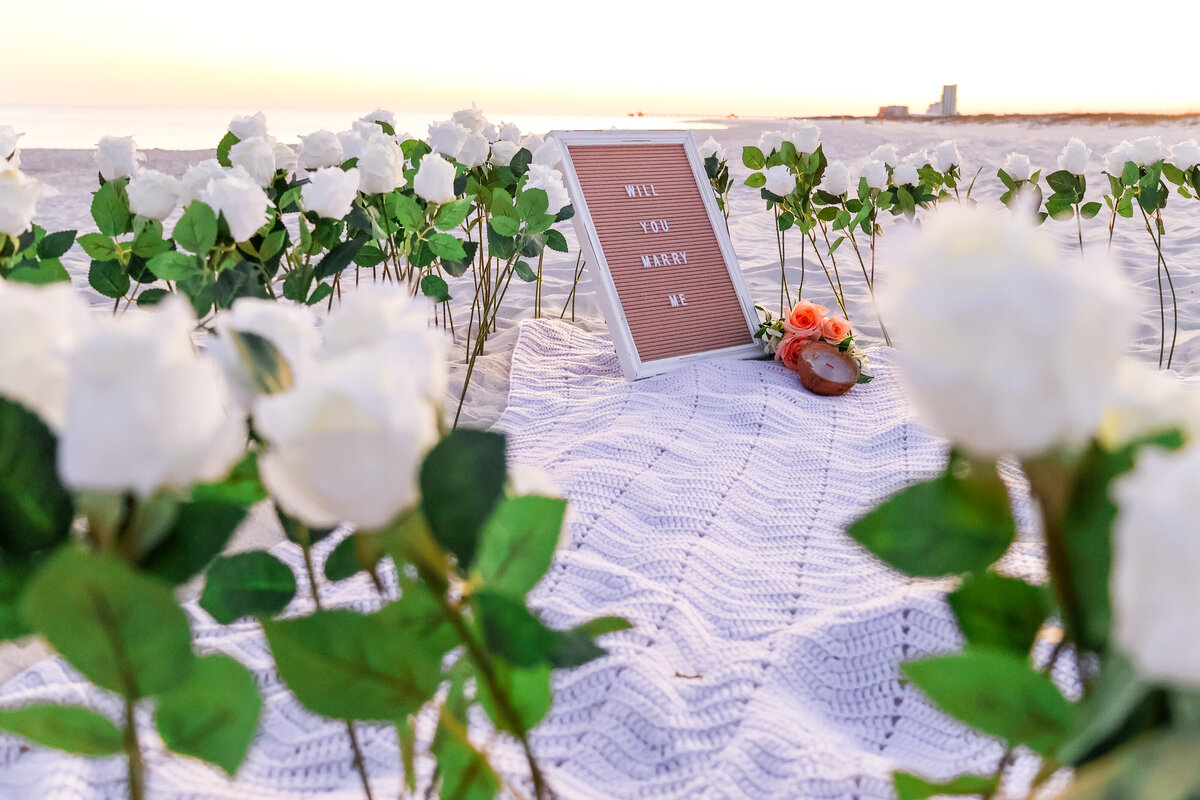 White roses surrounding Will you marry me sign on beachfront