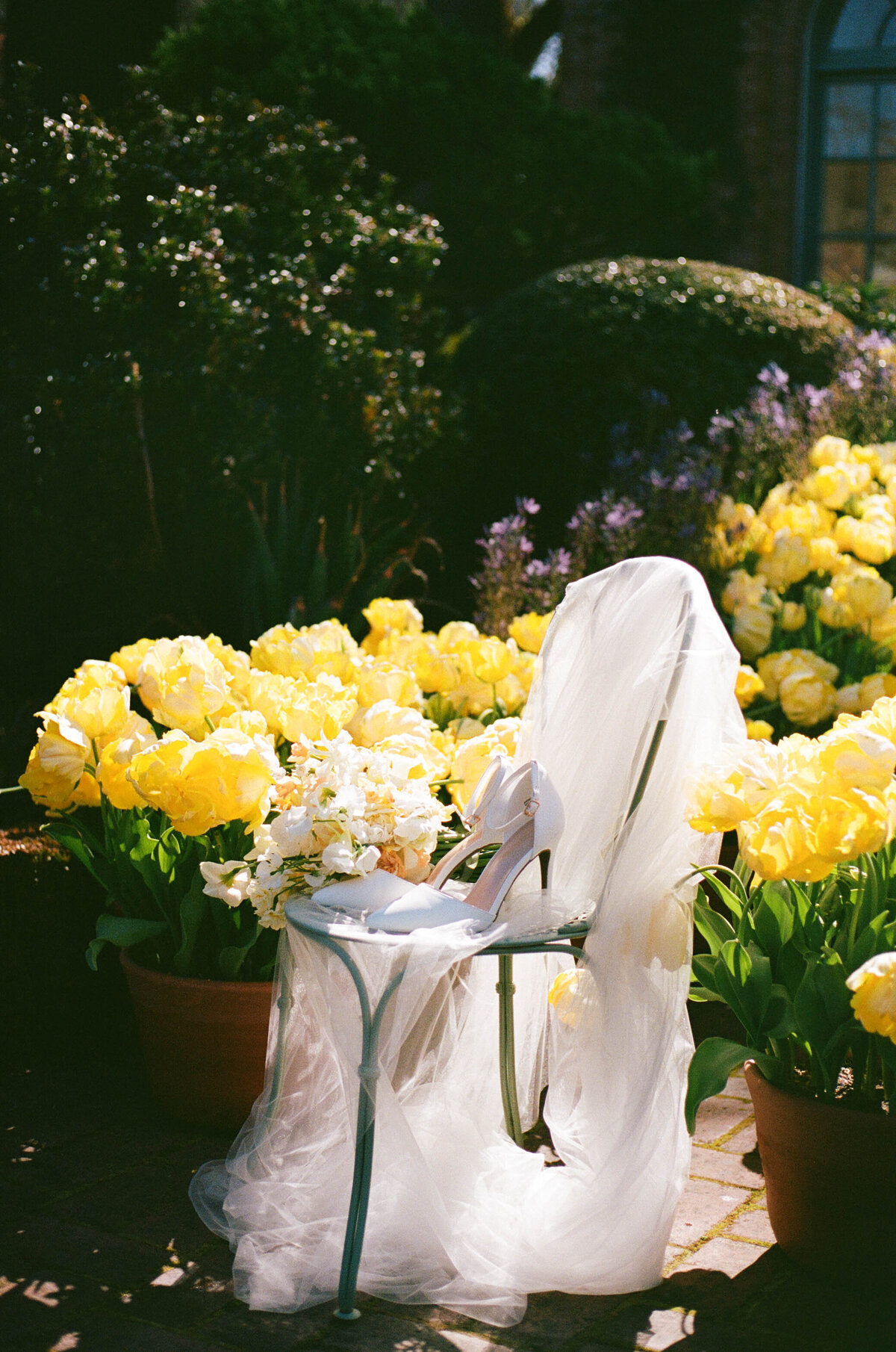 imagesbyabbi--000073510009