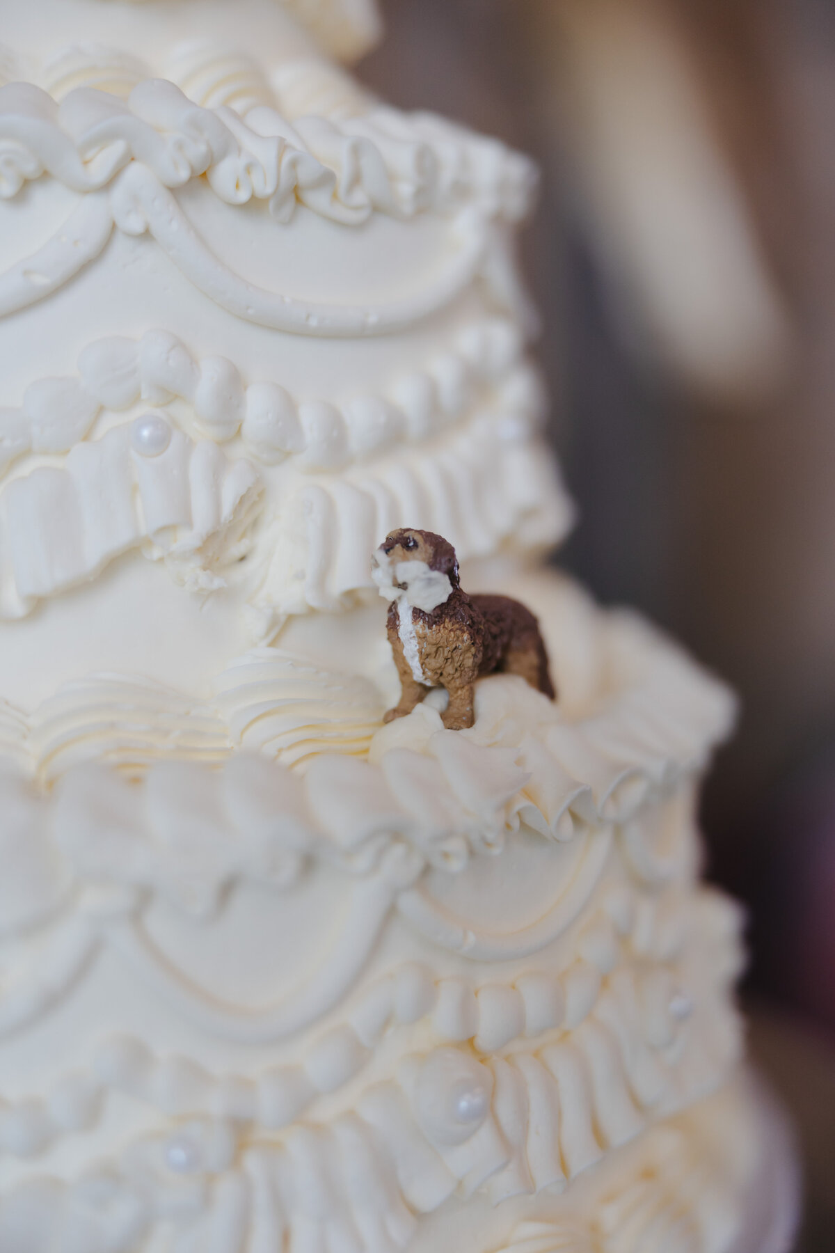 Luxury-Editorial-Wedding-Photographer-Cacie-Carroll-Photography-488