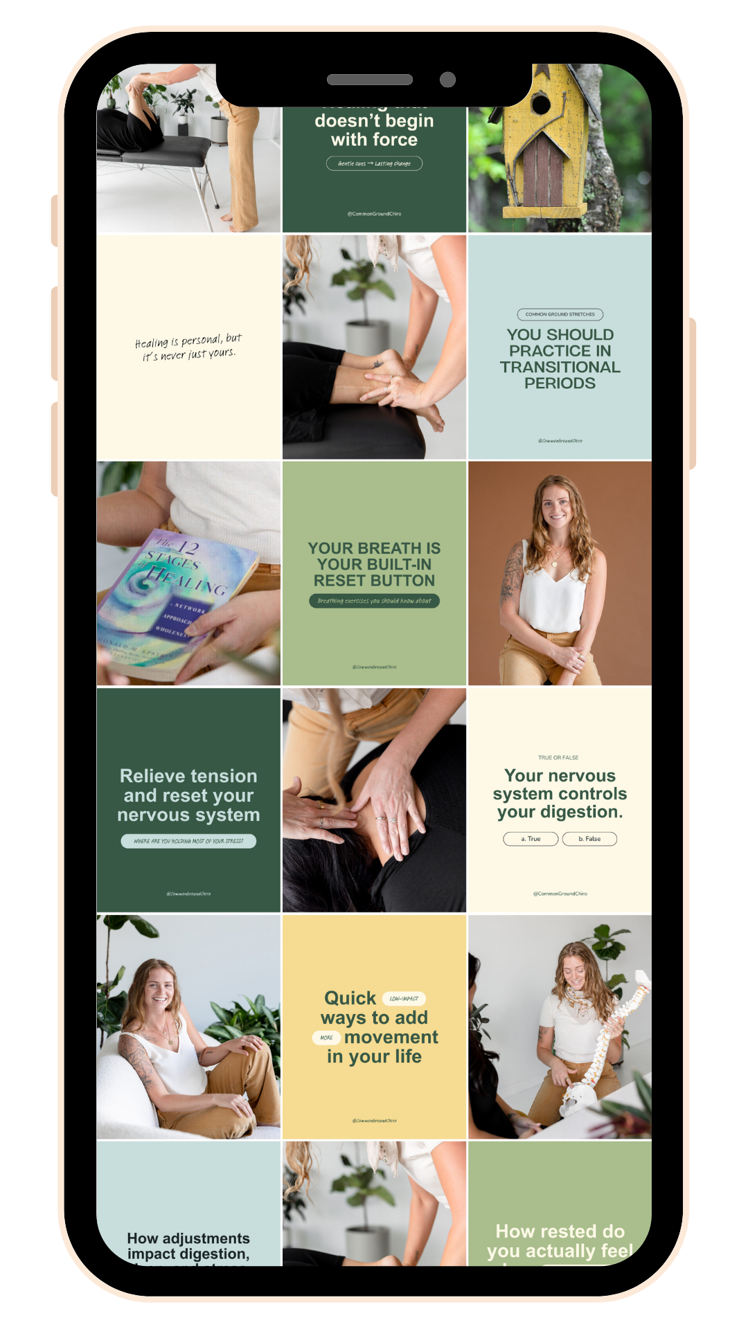 Common-ground-chiropractic-portfolio-socialmedia