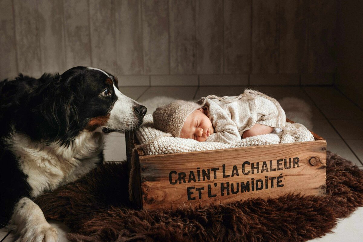 Sandra-Munch-photographie-naissance-alsace-lorraine-32