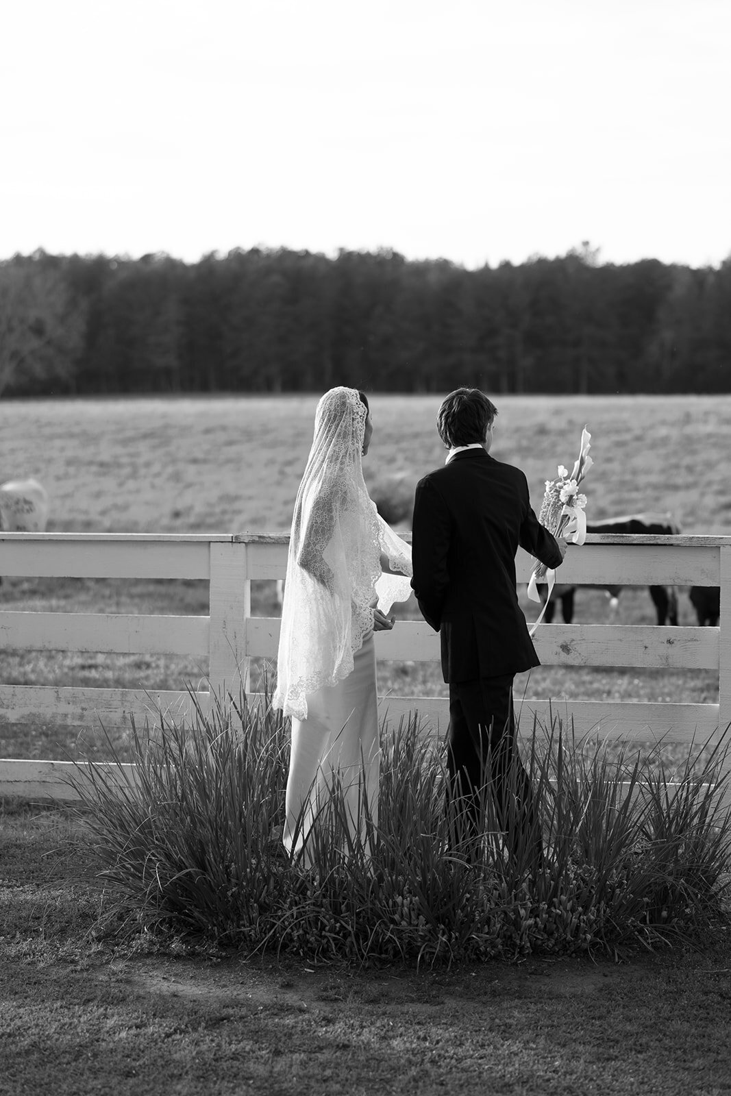 MauraDavidsonPhotography_--2