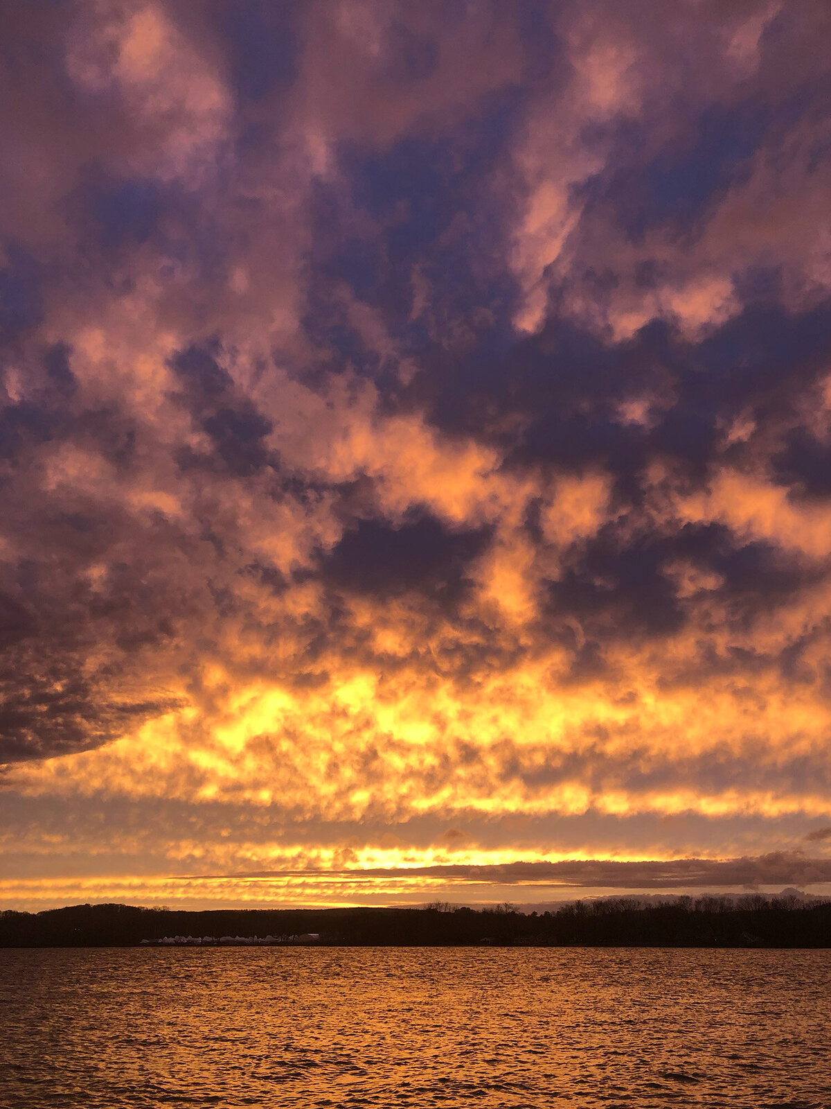 CCC_Estuary_32