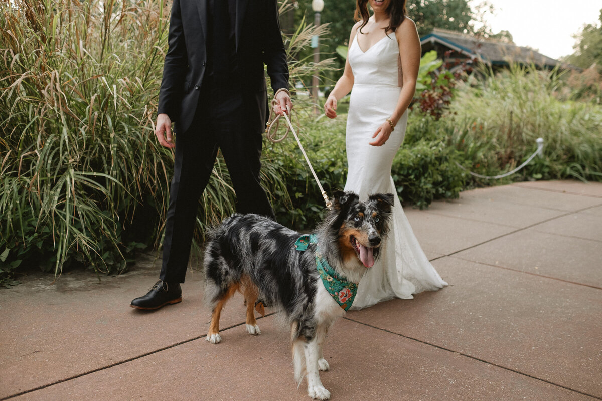 documentary photographer garden greenhouse wedding-150