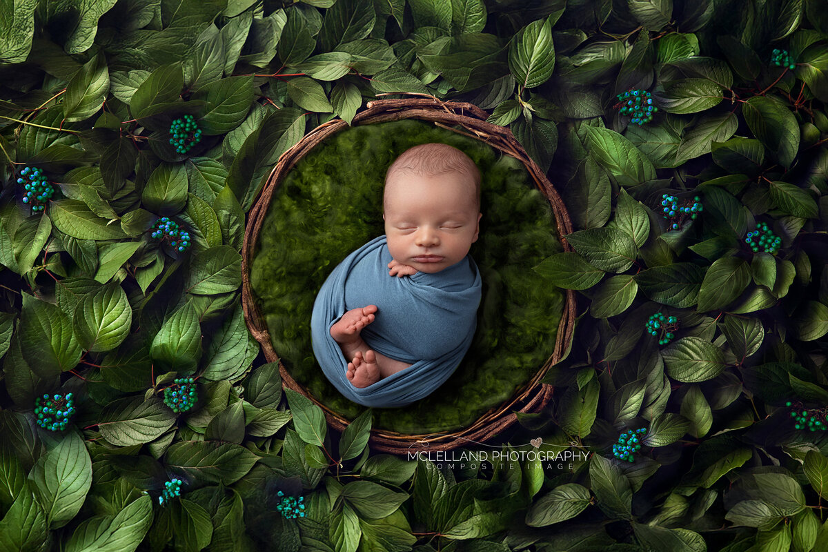 Composite newborn portrait of a baby boy wrapped in blue, sleeping inside a nest surrounded by lush green leaves and teal berries.