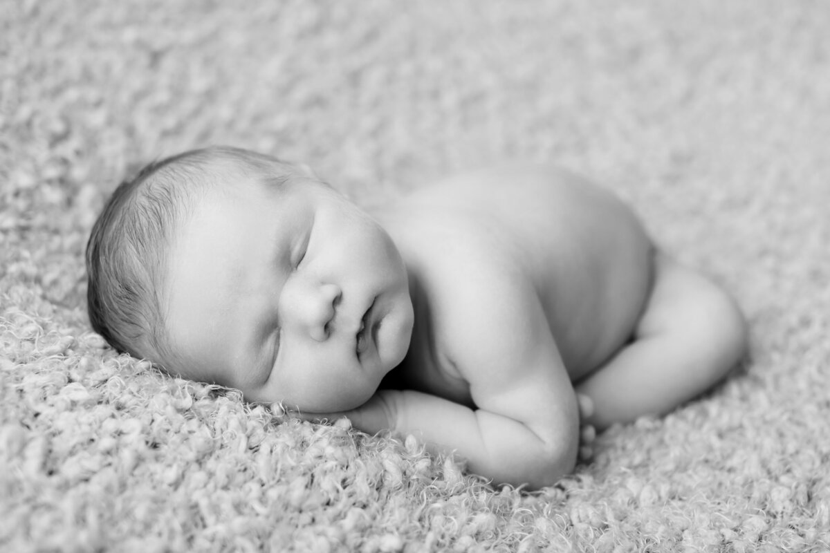 newborn photographer - north bay001