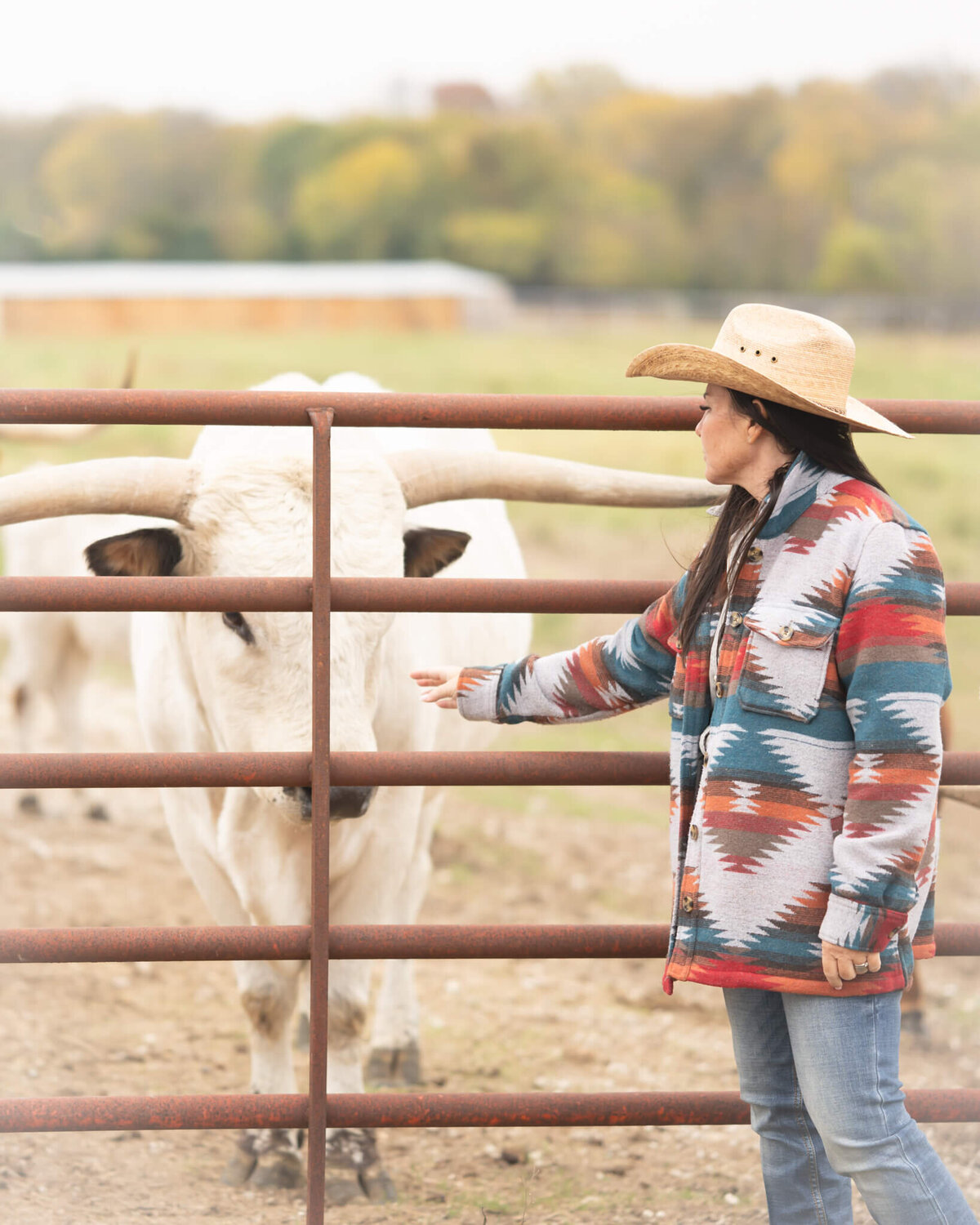 woman with cowboy hat near fence interacting with cows and longhorns