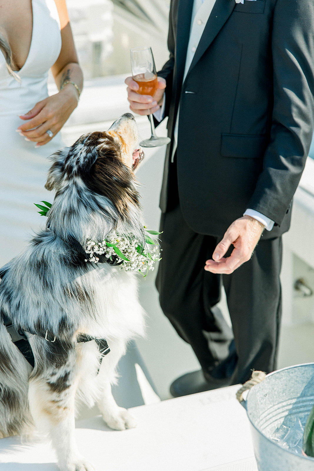 block island rhode island wedding-8256
