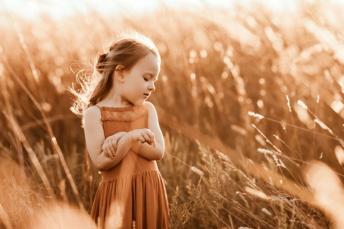 Girl plays with a piece of grass in a golden field.