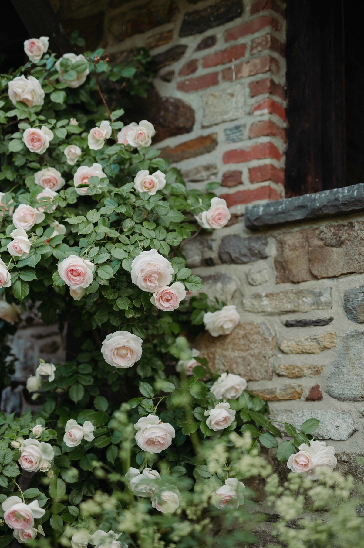 Blue-Hill-at-Stone-Barns-Wedding-Photographer-0046_1