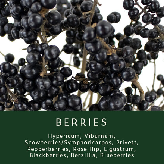 Berries