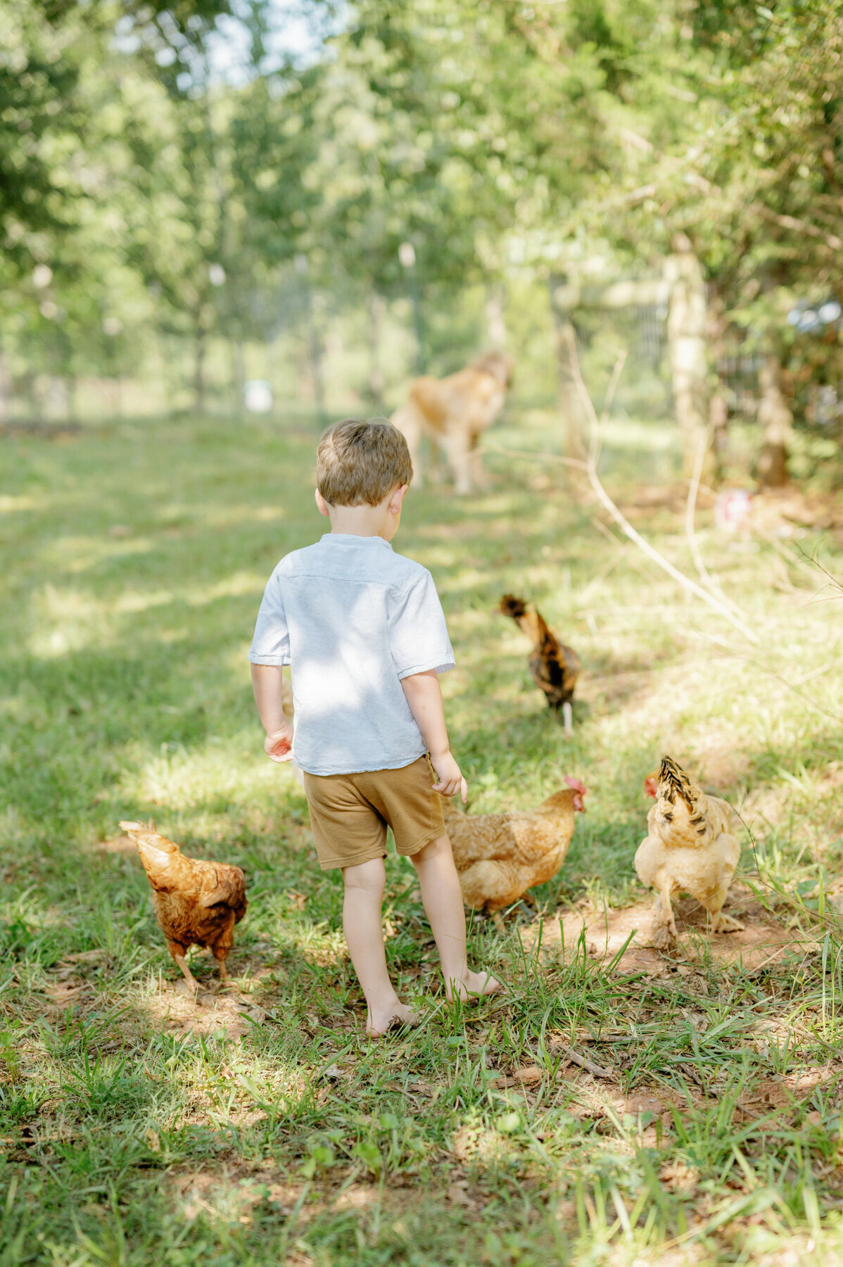 Lexington-KY-Family-Portraits-26