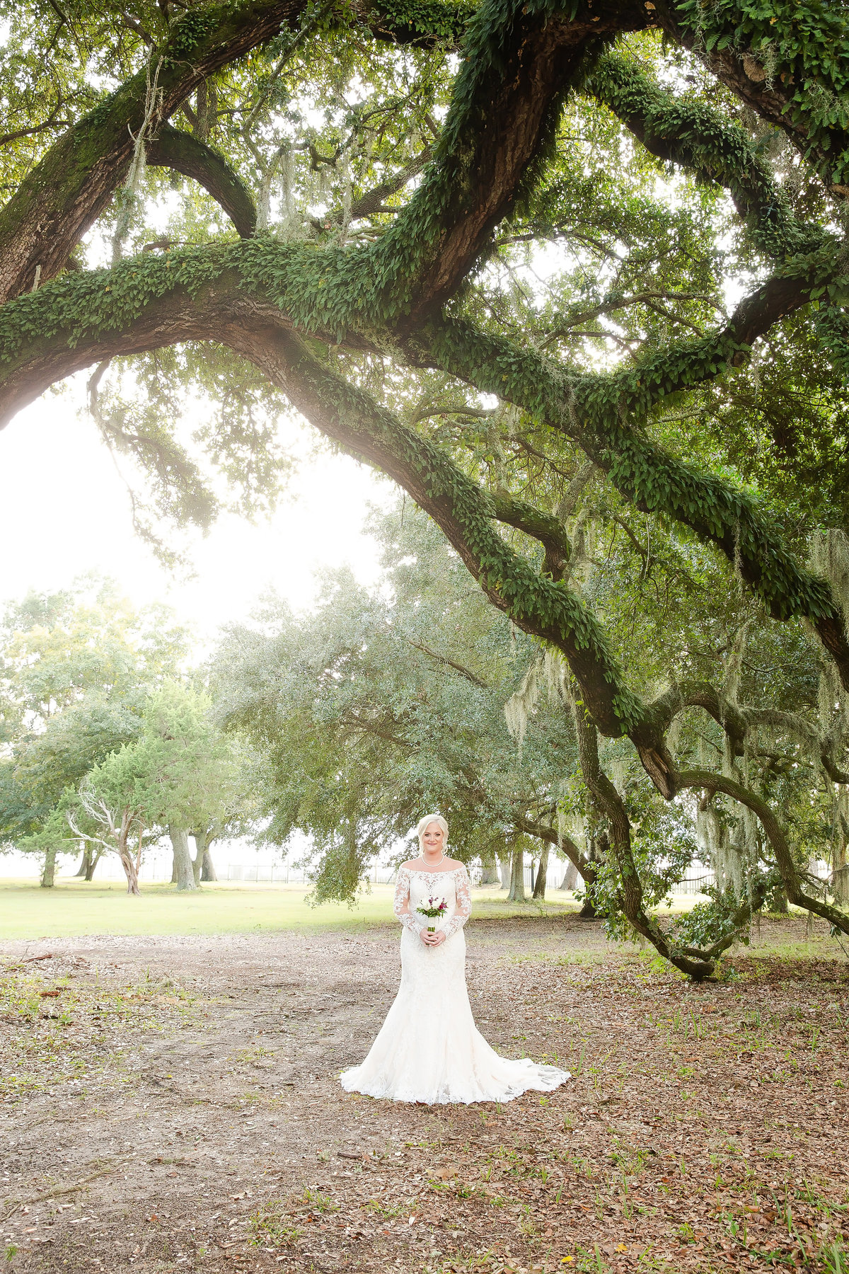 bride under huge oak tree in biloxi ms