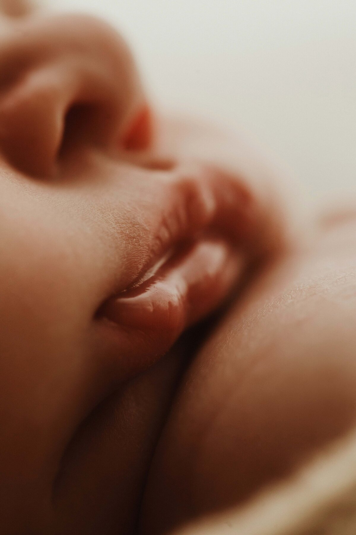 newborngallery_-12