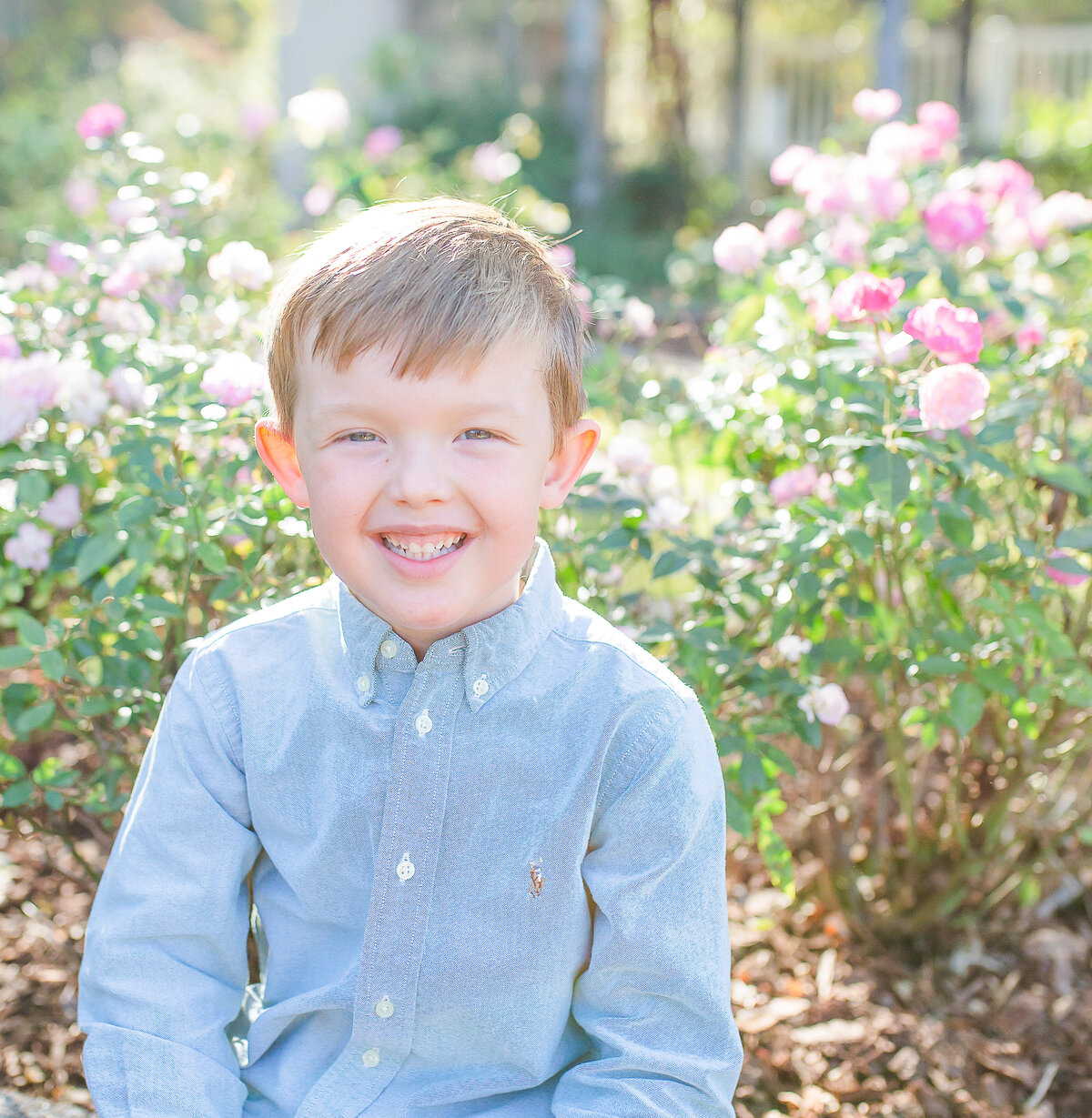 A young boy with a bright smile sits in a sunlit garden surrounded by blooming pink roses. Dressed in a classic button-down shirt, he radiates joy and warmth, capturing the light and timeless style of a Birmingham family photographer.