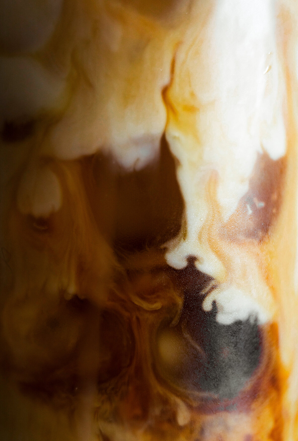 Elevae_0325_10973 (1)