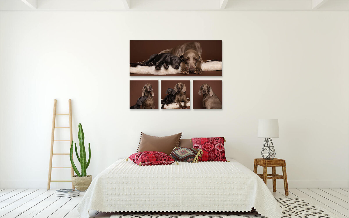 Ranger+Mandy Bedroom 50x20