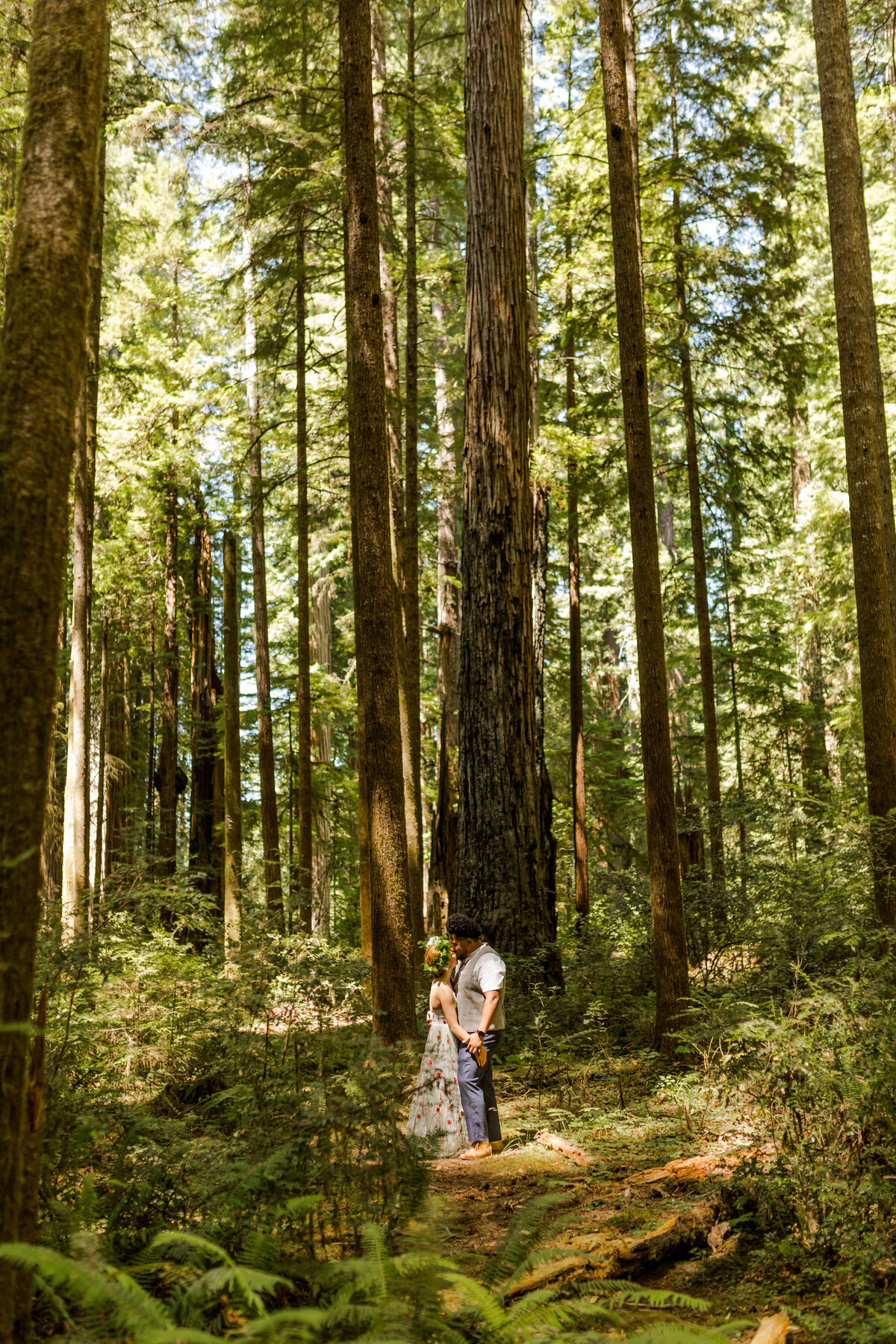 Redwoods National Forest Elopement-111