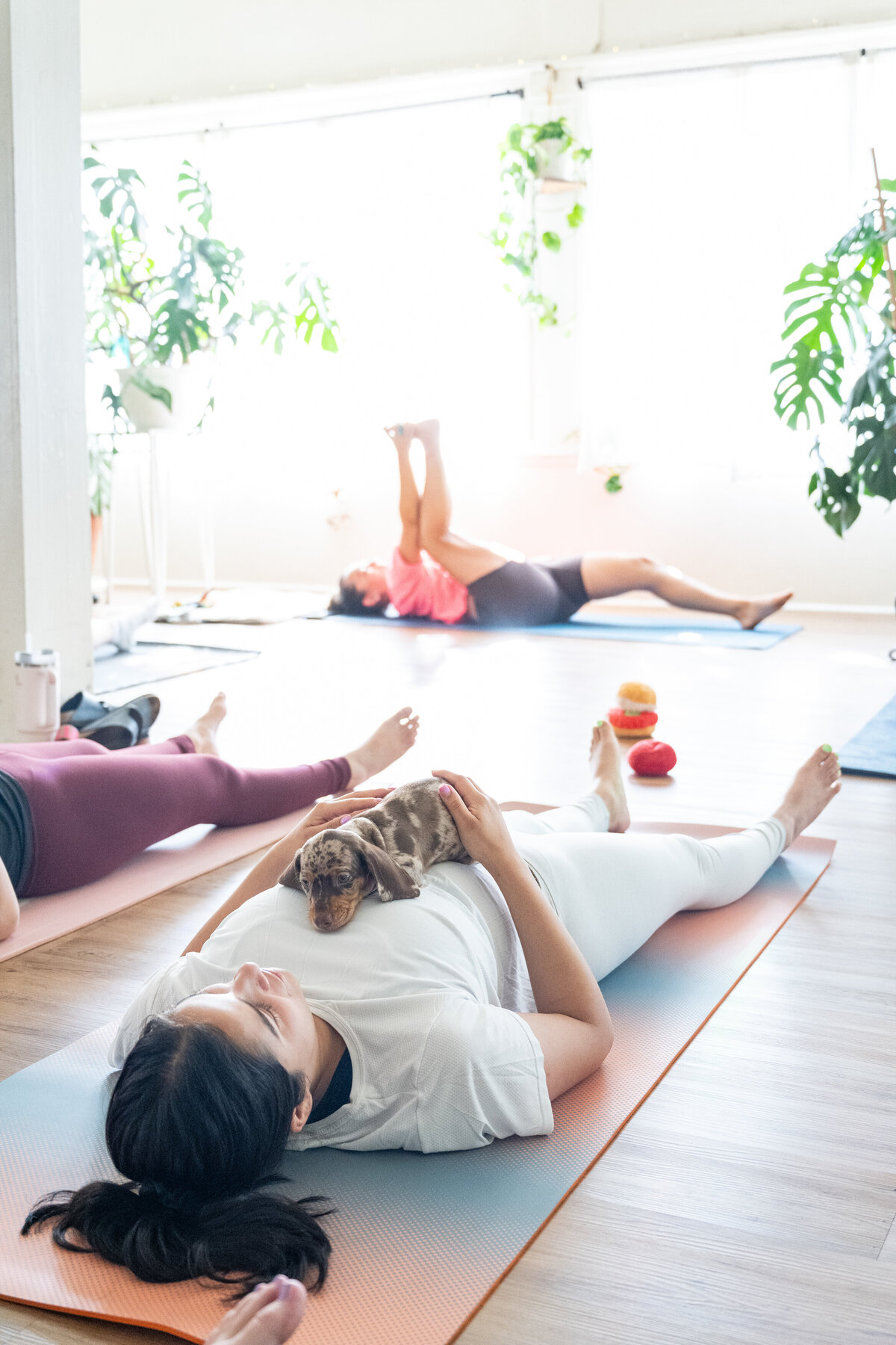 HerElevated-FreckledWeeniesOfSacramento-PuppyYoga-July-6-2024-staceydoyle-82