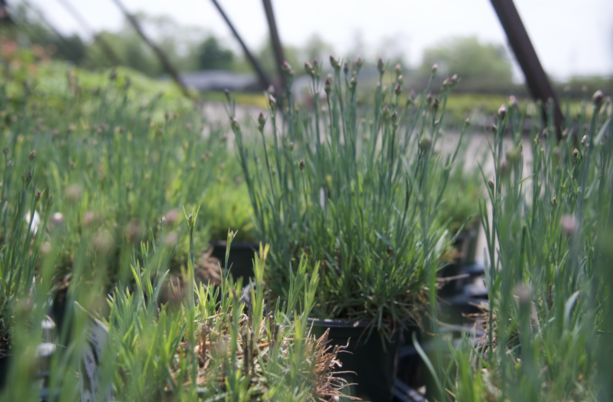 Screenshot 2025-07-21 at 12.20.50 AM