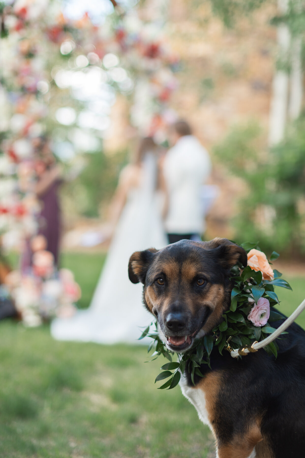 The_Ritz_Carlton_Beaver_Creek_Summer_Wedding_Website-41