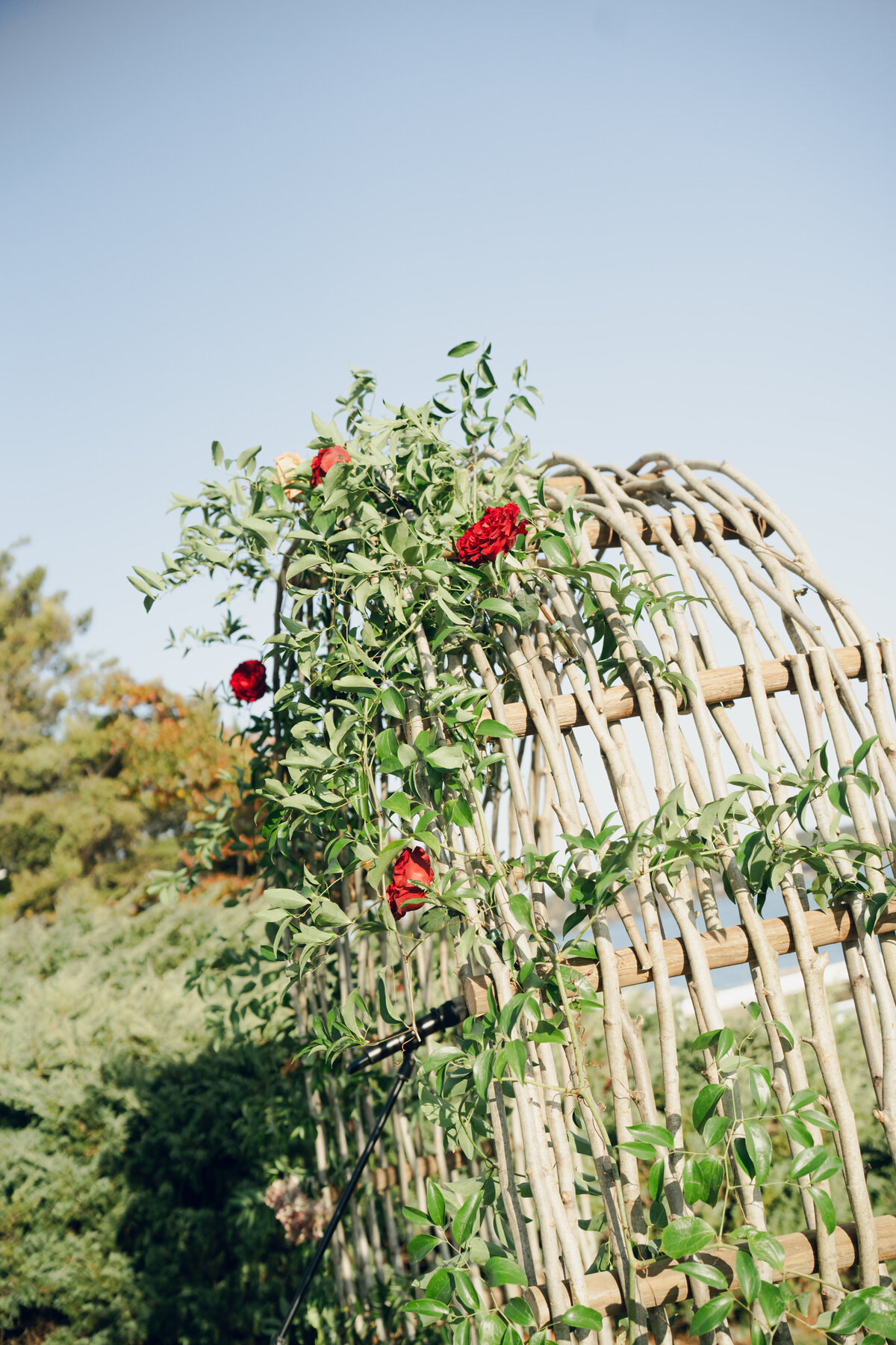 Maine Wedding_Leandra Creative Co. Photography-387