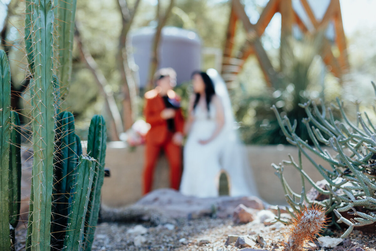 Las Vegas Wedding - Springs Preserve-7909
