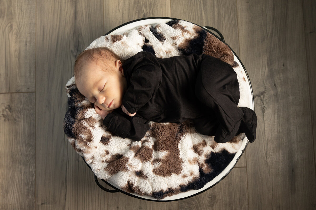 newborn session, alyssa michel photography, love, baby boy, baby girl, rustic, cow print, country, ct photogtspher