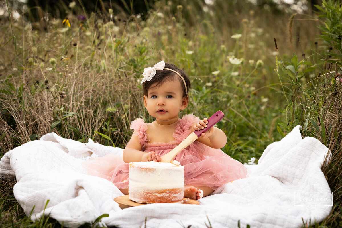 One year old baby girl cake smash | first birthday photography | Troy Ohio